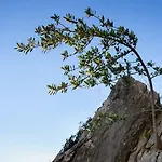 Palloma Baška Voda