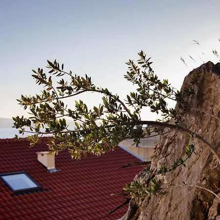 Palloma * Baška Voda