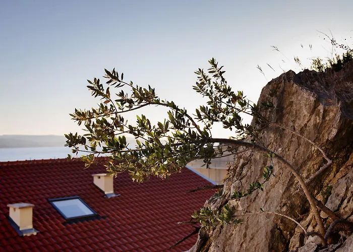 Palloma * Baška Voda